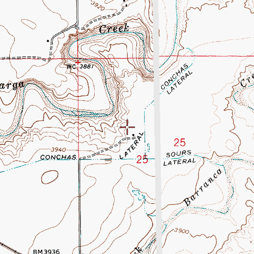 Topographic Map of Henry, NM