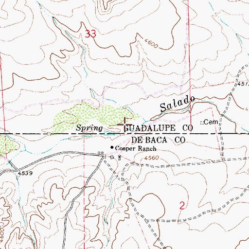 Topographic Map of Cooper, NM