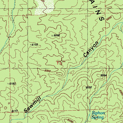 Topographic Map of The Pines, NM