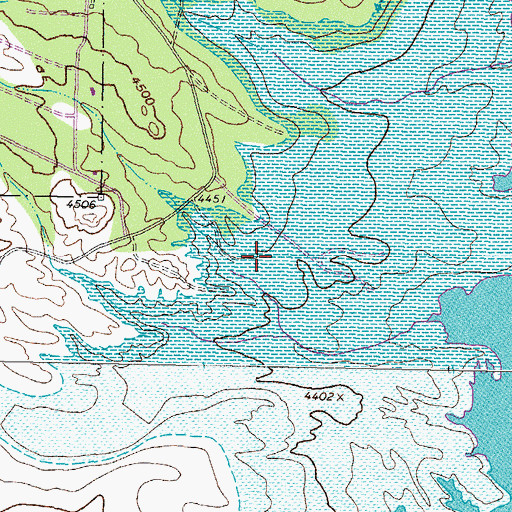 Topographic Map of Engle Point, NM