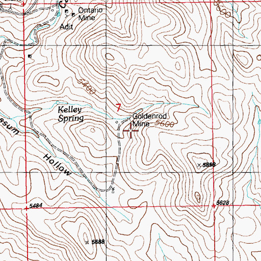 Topographic Map of Golden Rod Mine, NM