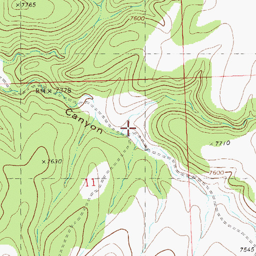 Topographic Map of Shaw Canyon, NM
