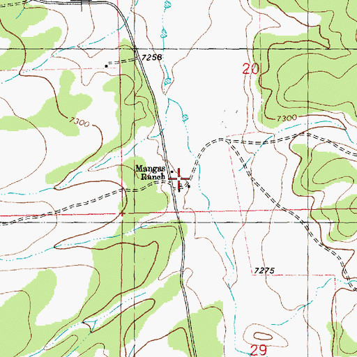 Topographic Map of Mangas, NM