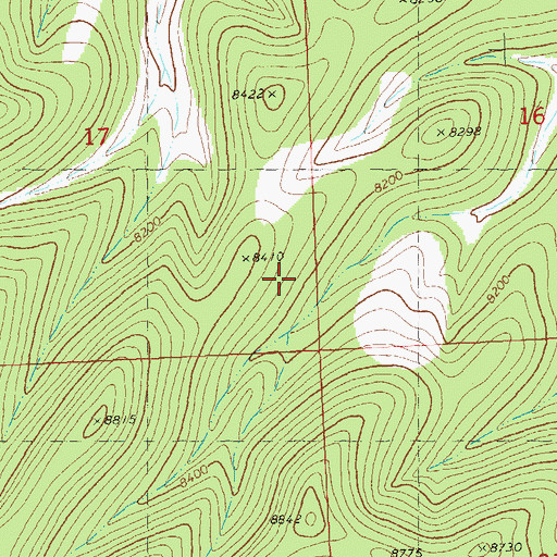 Topographic Map of Rock Corral Canyon, NM