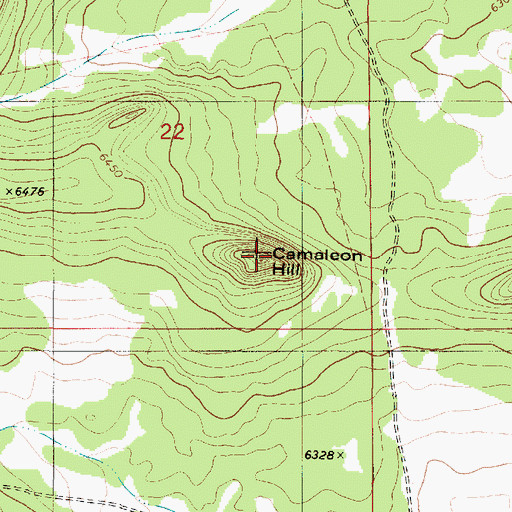 Topographic Map of Camaleon Hill, NM