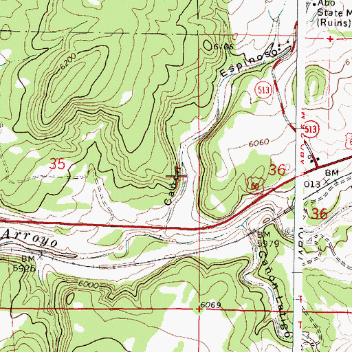 Topographic Map of Canon Espinoso, NM
