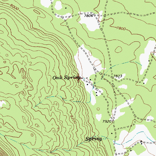 Topographic Map of 12R-160 Spring, NM