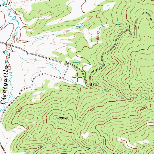 Topographic Map of Fire Escape Ski Trail, NM