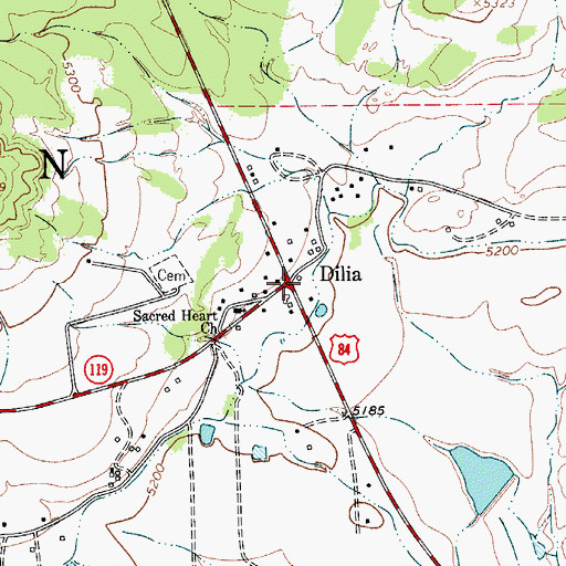 Topographic Map of Dilia Weather Station, NM