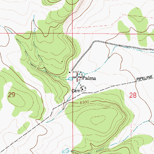 Topographic Map of Palma Weather Station, NM
