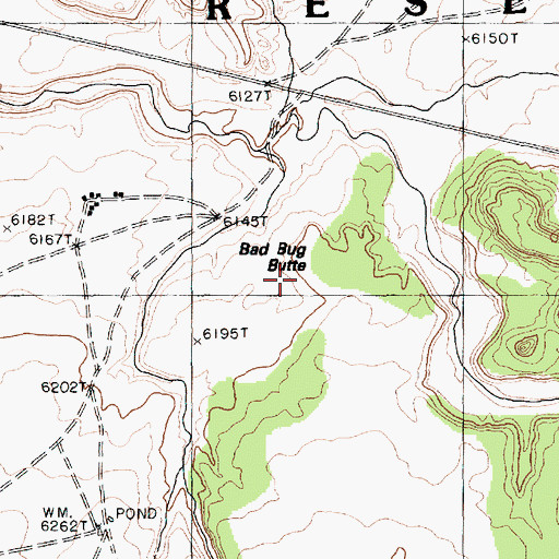Topographic Map of Bad Bug Butte, AZ
