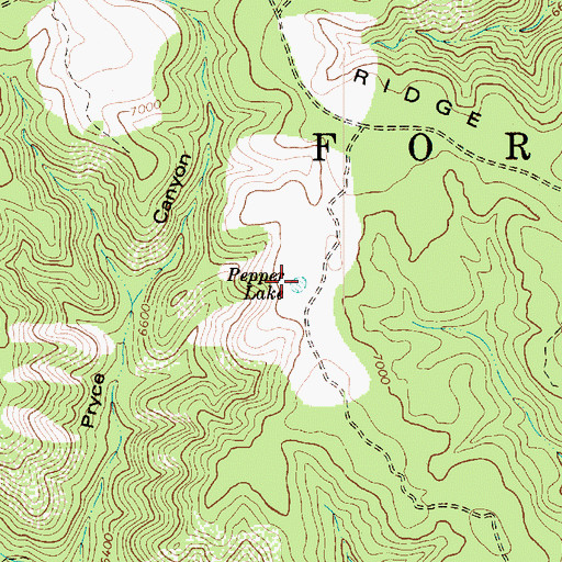 Topographic Map of Pepper Lake, AZ