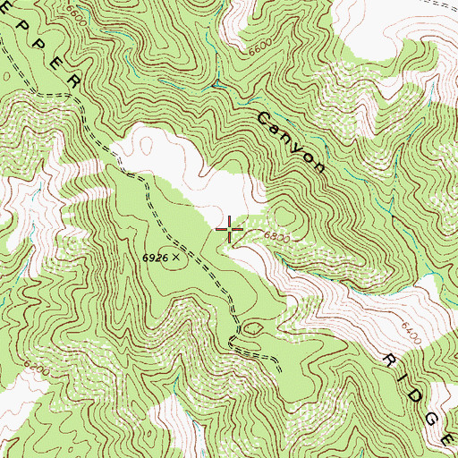 Topographic Map of Pepper Ridge, AZ