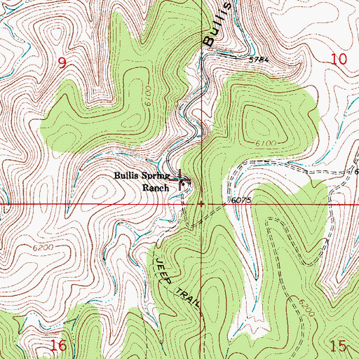 Topographic Map of Bullis Spring, NM
