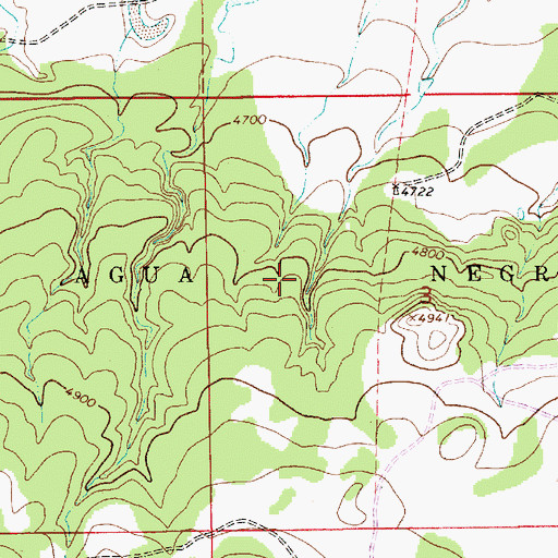 Topographic Map of Agua Negra Grant, NM
