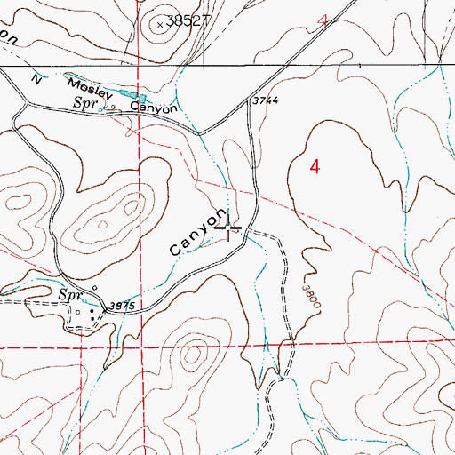 Topographic Map of Baldridge Canyon, NM