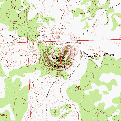 Topographic Map of Cerro Flora, NM