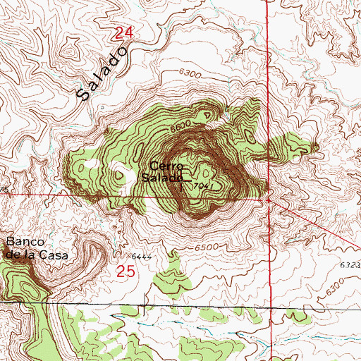 Topographic Map of Cerro Salado, NM