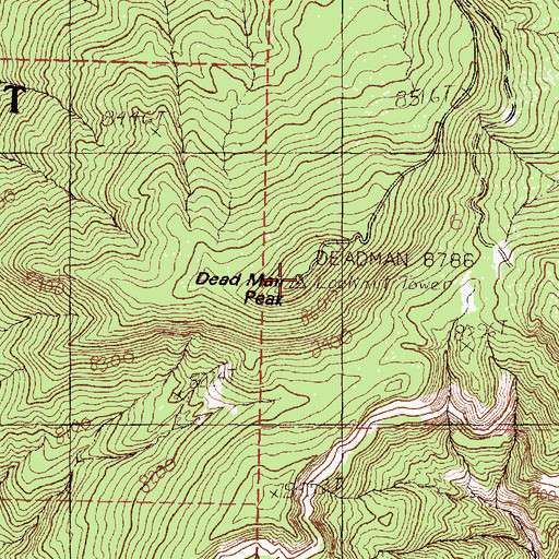 Topographic Map of Dead Man Peak, NM