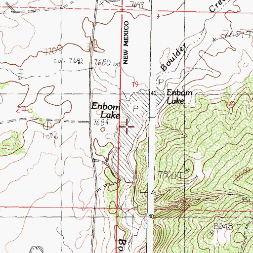 Topographic Map of Enbom Lake, NM