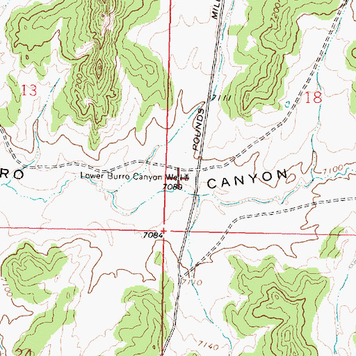Topographic Map of Lower Burro Canyon Well, NM