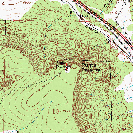 Topographic Map of Punta Pajarita, NM