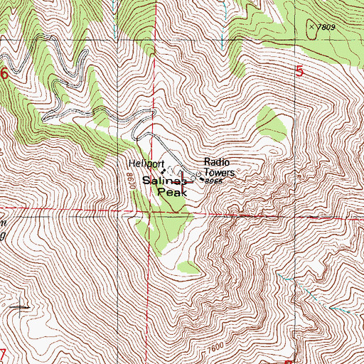 Topographic Map of Salinas Peak, NM