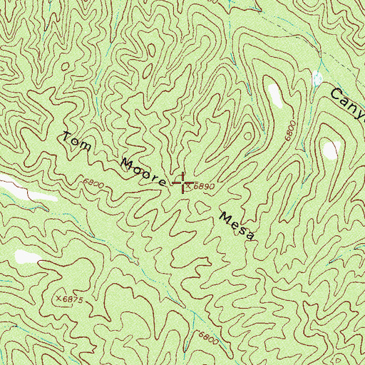 Topographic Map of Tom Moore Mesa, NM