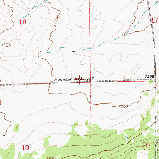 Topographic Map of Younger Well, NM