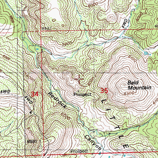 Topographic Map of Little Burro Mountains, NM