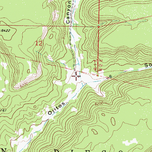 Topographic Map of Ojitos Logging Camp (historical), NM