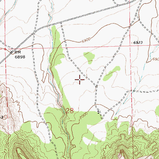Topographic Map of Borrega Pass, NM