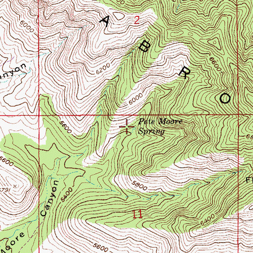 Topographic Map of Pete Moore Spring, AZ