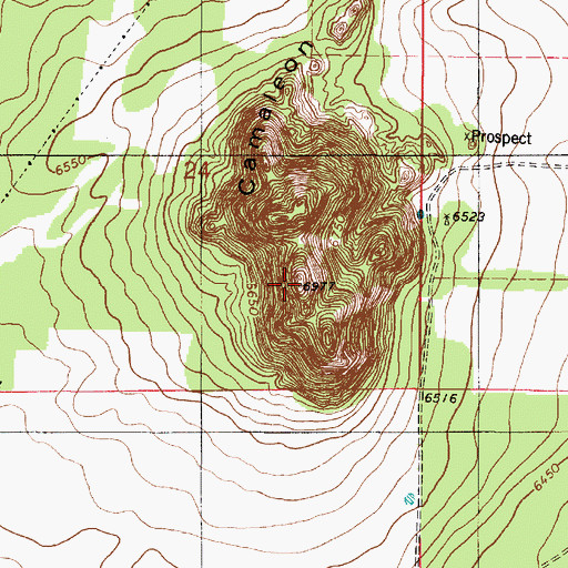 Topographic Map of Camaleon, NM
