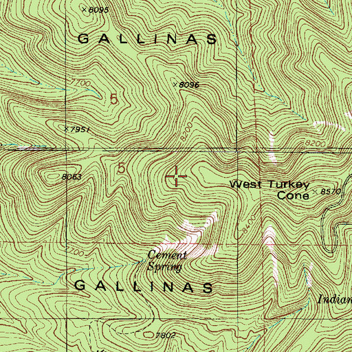 Topographic Map of West Turkey Cone, NM