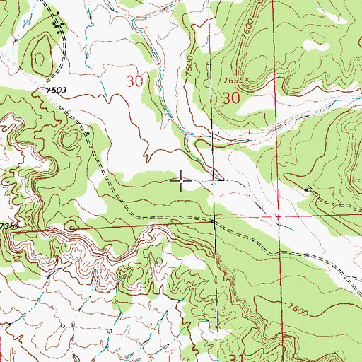 Topographic Map of Carvco Spring, NM