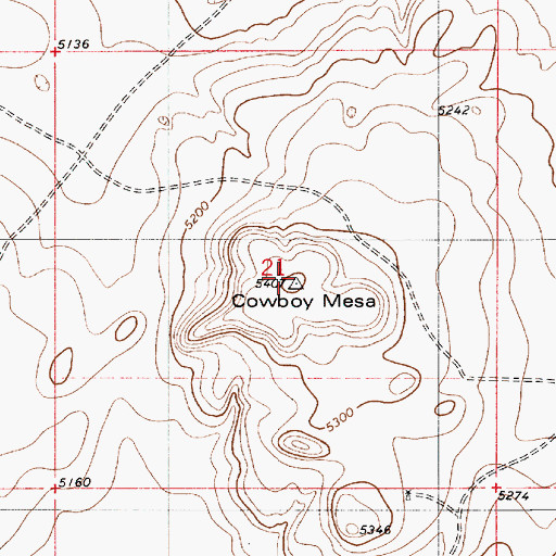 Topographic Map of Cowboy Mesa, NM