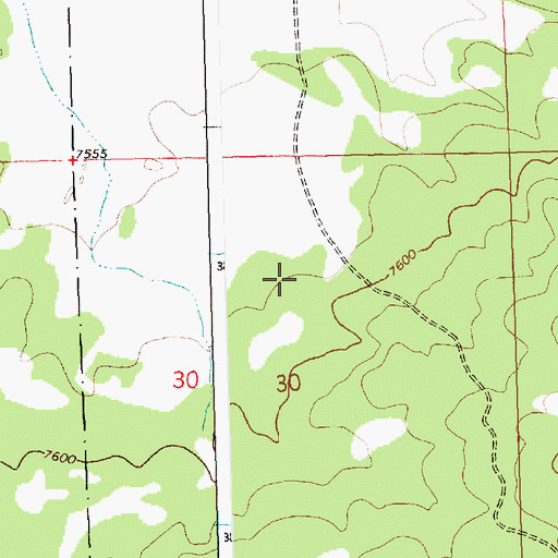 Topographic Map of Jacks Peak, NM