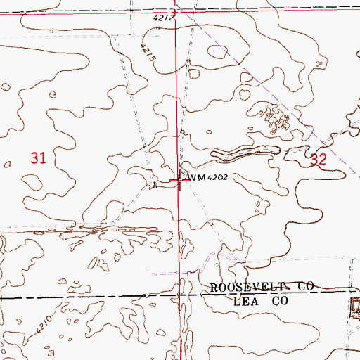 Topographic Map of 12601 Water Well, NM