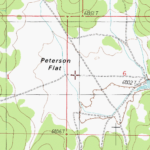 Topographic Map of Peterson Flat, AZ