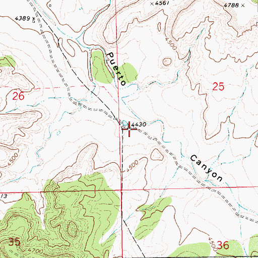 Topographic Map of 10266 Water Well, NM