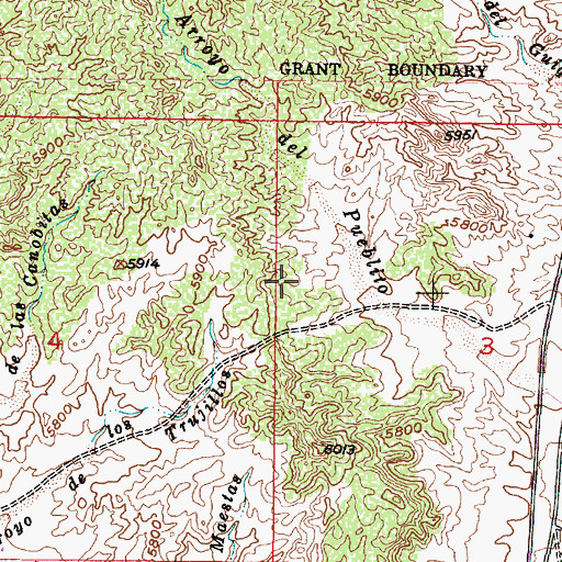 Topographic Map of 10001 Water Well, NM