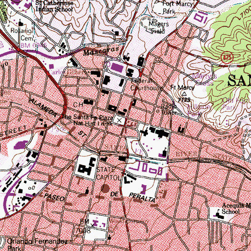 Topographic Map of Acequie Madre, NM