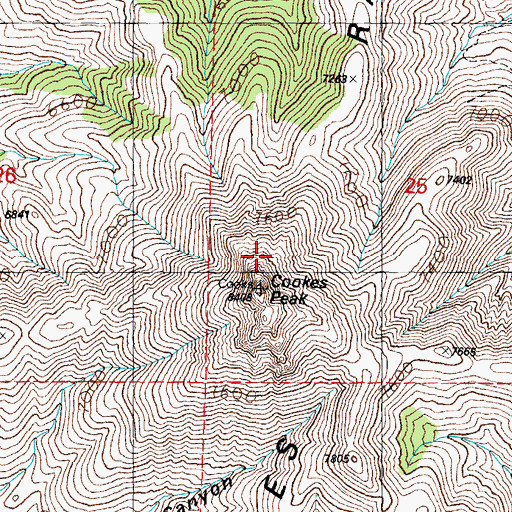 Topographic Map of Cookes Range Wilderness Study Area, NM
