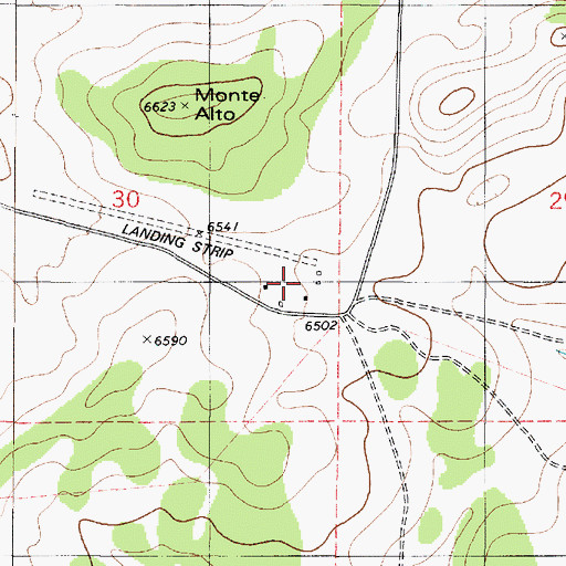 Topographic Map of Monte Alto, NM