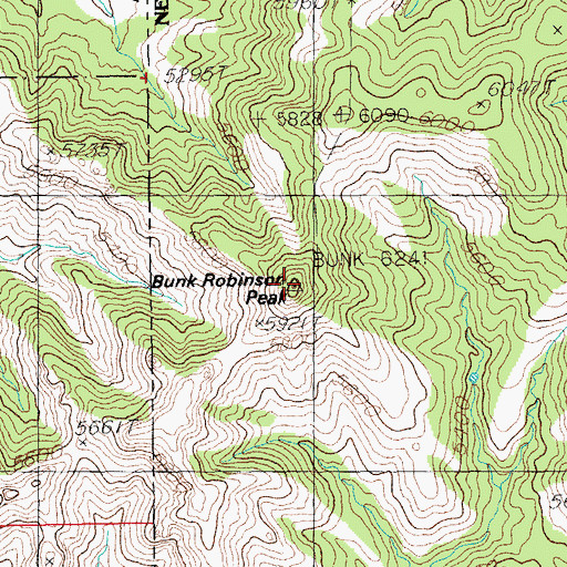 Topographic Map of Buck Robinson Wilderness Study Area, NM