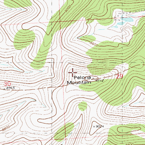 Topographic Map of Continental Divide Wilderness Study Area, NM