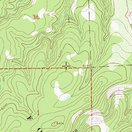Topographic Map of Hell Hole Wilderness Study Area, NM