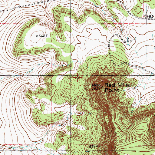 Topographic Map of Red Miller Point, NM