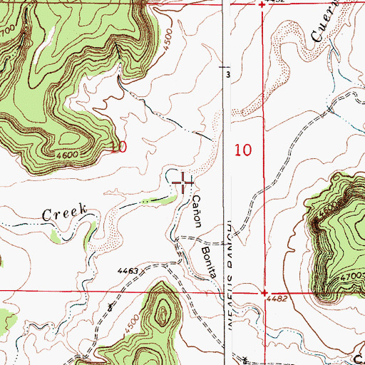 Topographic Map of Caon Bonita, NM
